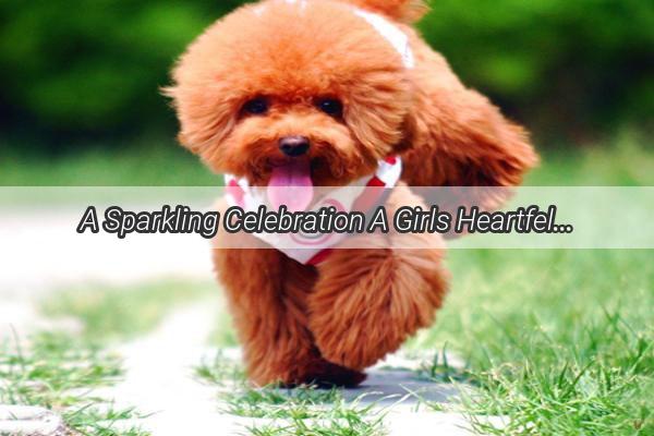 A Sparkling Celebration A Girls Heartfelt Attempt to Introduce Her Dog to Fireworks